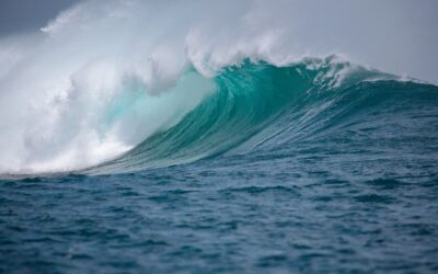 The Ozempic Wave Is Coming: Is Your Wellness Brand Ready?